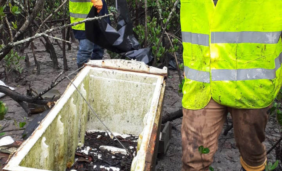 Toneladas de resíduos são retirados de manguezais no Litoral do Paraná