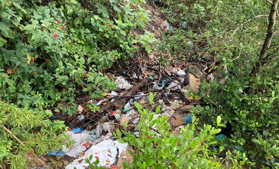 Toneladas de resíduos são retirados de manguezais no Litoral do Paraná