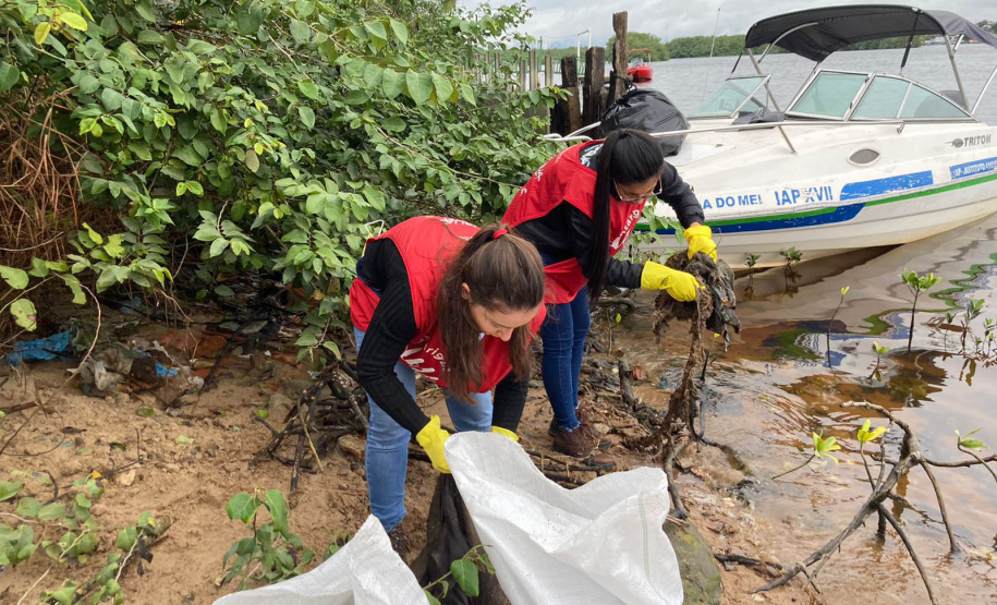 Toneladas de resíduos são retirados de manguezais no Litoral do Paraná