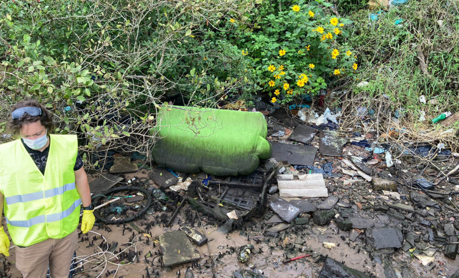 Toneladas de resíduos são retirados de manguezais no Litoral do Paraná