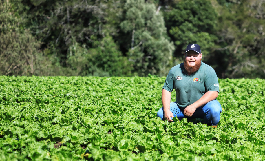 Projetos de transferência de renda para a agricultura familiar serão ampliados no Paraná