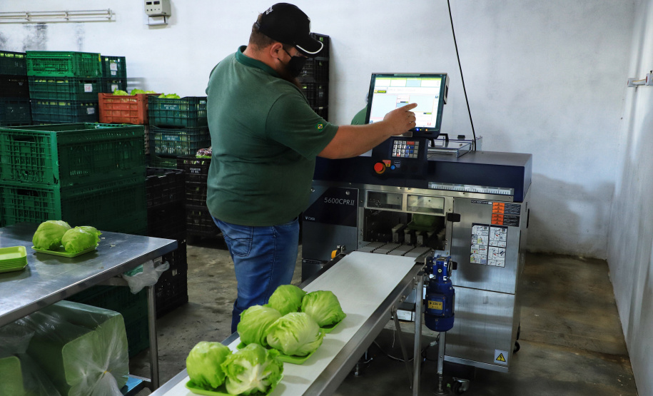 Projetos de transferência de renda para a agricultura familiar serão ampliados no Paraná -