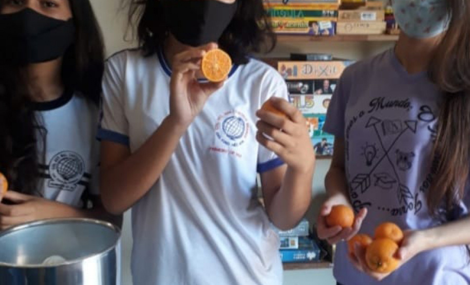 Preocupação ambiental de estudantes de Primeiro de Maio gera projeto premiado em feira nacional