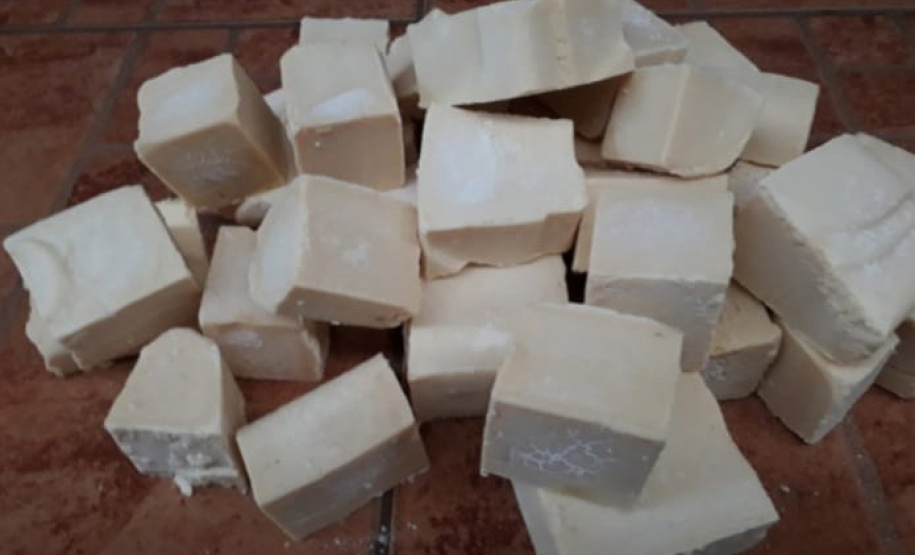 Preocupação ambiental de estudantes de Primeiro de Maio gera projeto premiado em feira nacional