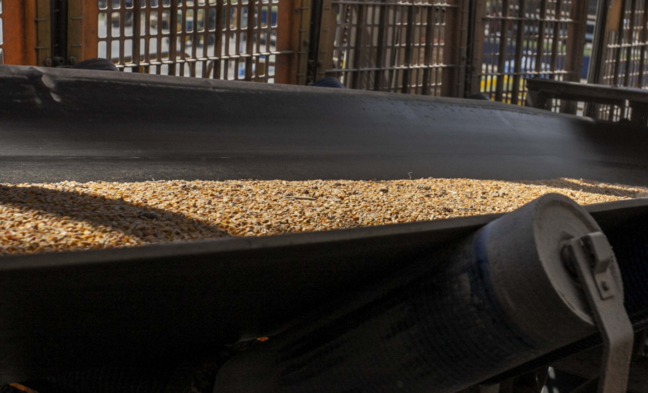 Exportação de milho a granel sobe 161% pelo Porto de Paranaguá