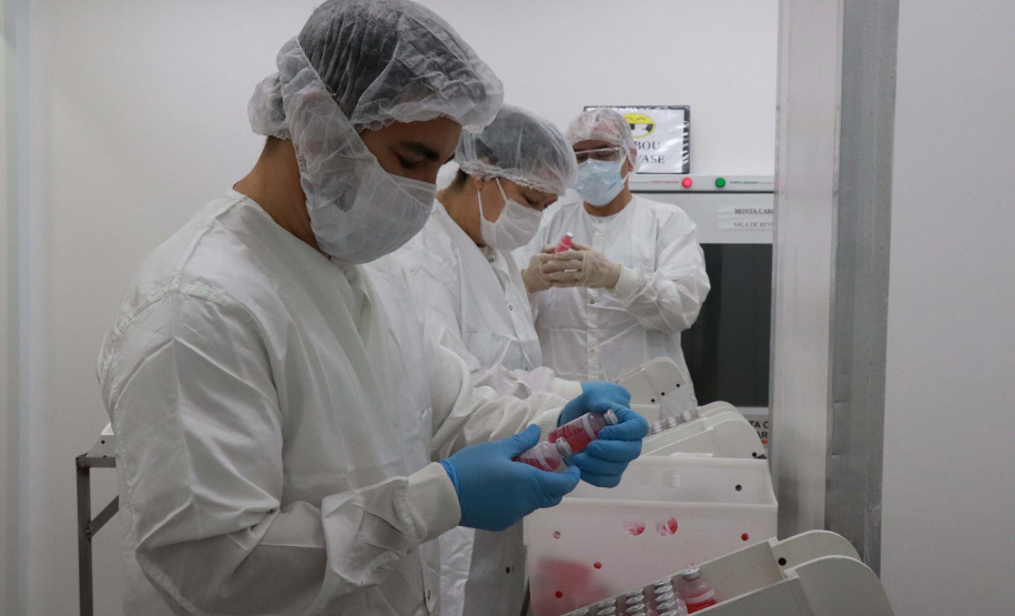 Tecpar chega aos 82 anos com impactos positivos sobre o Paraná