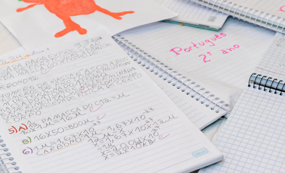 Rede de Escolarização Hospitalar (Sareh).