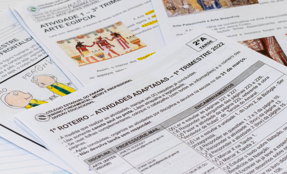 Rede de Escolarização Hospitalar (Sareh).