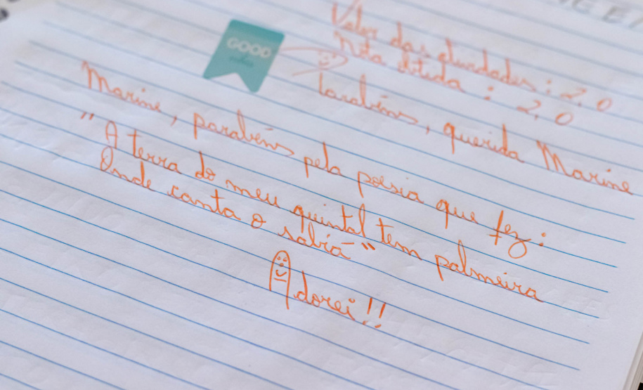 Rede de Escolarização Hospitalar (Sareh).