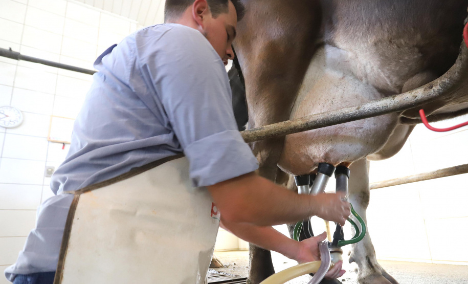 Custos de produção e clima elevam o preço do leite
