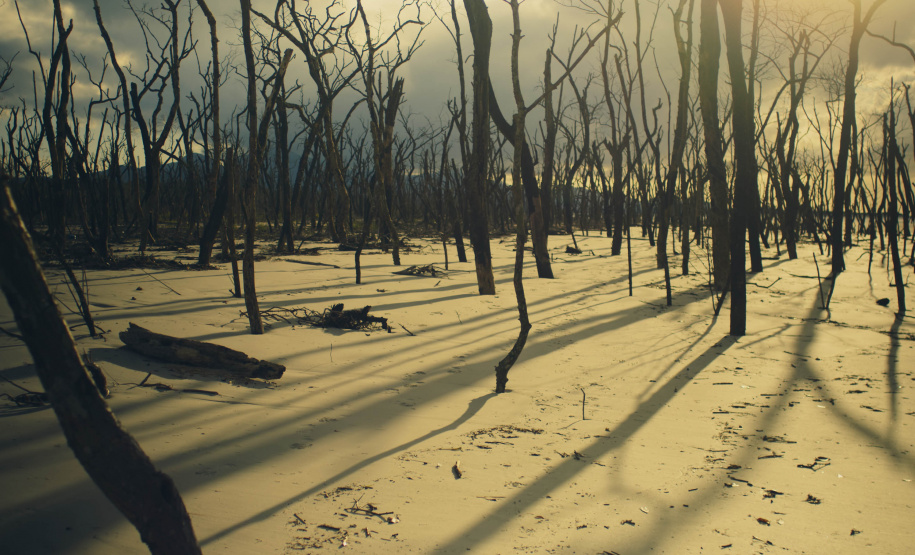 Nova mostra no Museu Paranaense mergulha nas histórias e identidades de povos que formam e seguem formando o Paraná