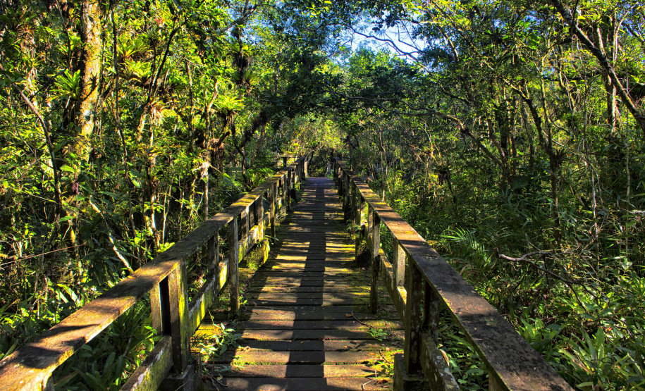 Paraná conta com mais 1.673,3 hectares de preservação ambiental em Unidades de Conservação