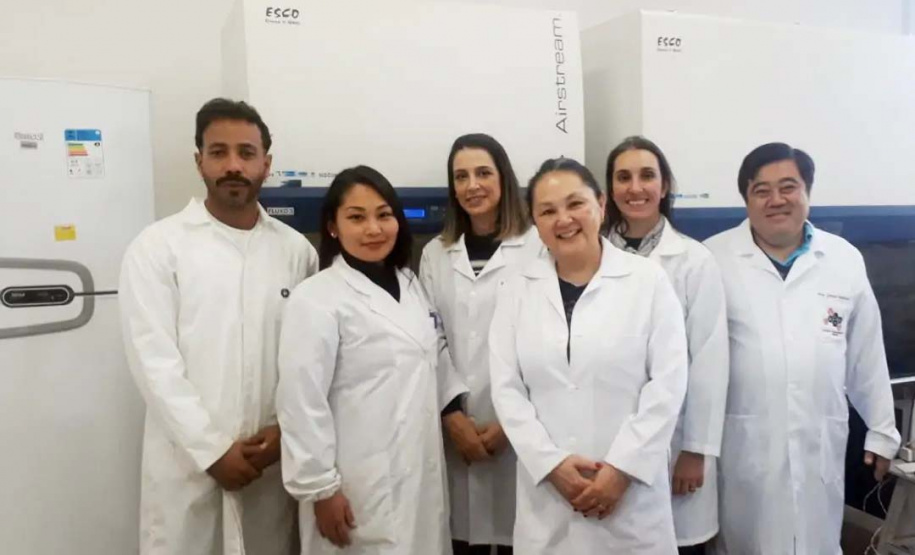 Projeto Capes Fármacos identifica medicamentos com potencial de combate à Covid-19