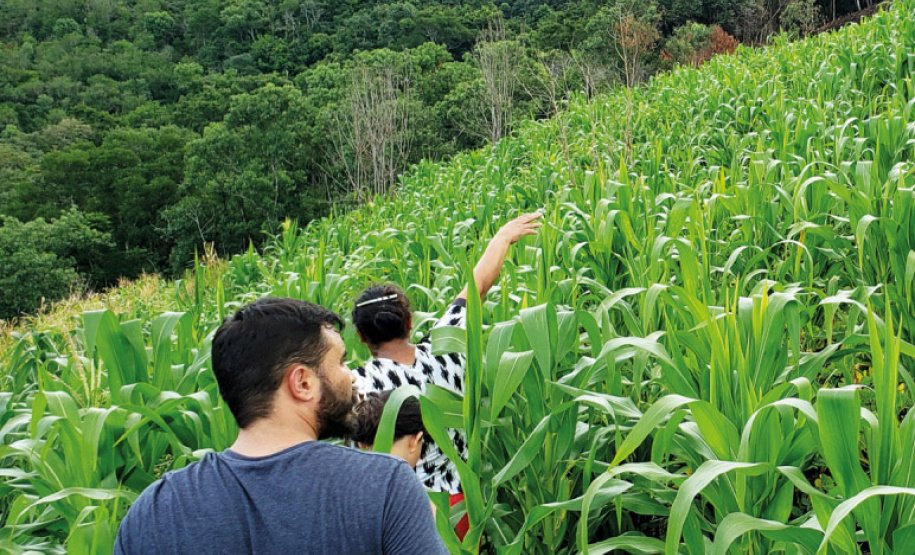 Renda Agricultor Familiar fica em 3º lugar no Prêmio Estratégia ODS 2022