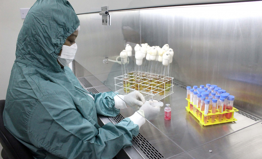 Prazo para empresas participarem de edital do Tecpar sobre vacina meningocócica termina em um mês