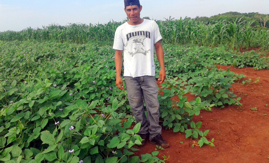 Projetos de transferência de renda para a agricultura familiar serão ampliados no Paraná -