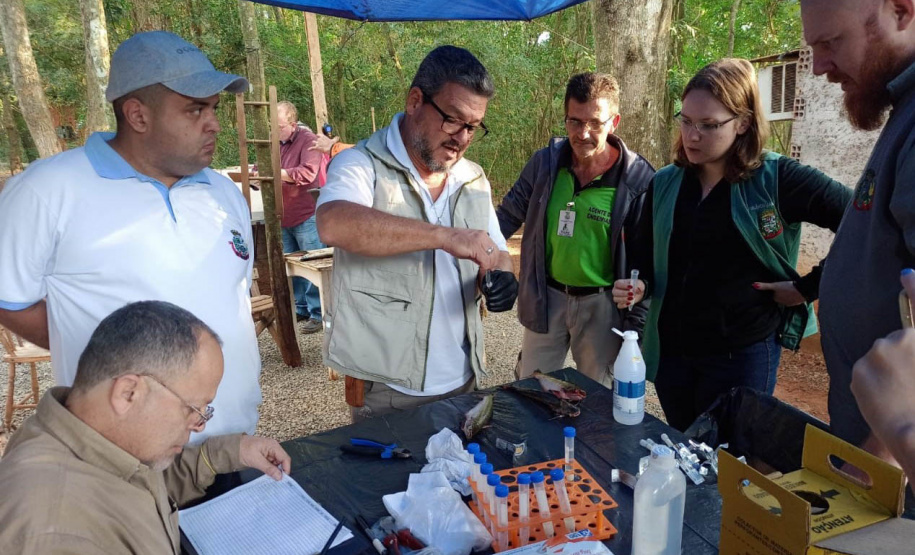 Sesa realiza ações de coleta de toxinas de peixes peçonhentos