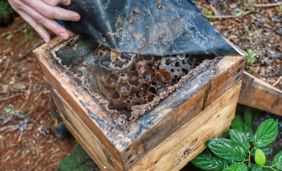 Governo do Estado inaugura 4º Parque Urbano na cidade que inspirou o Poliniza Paraná -