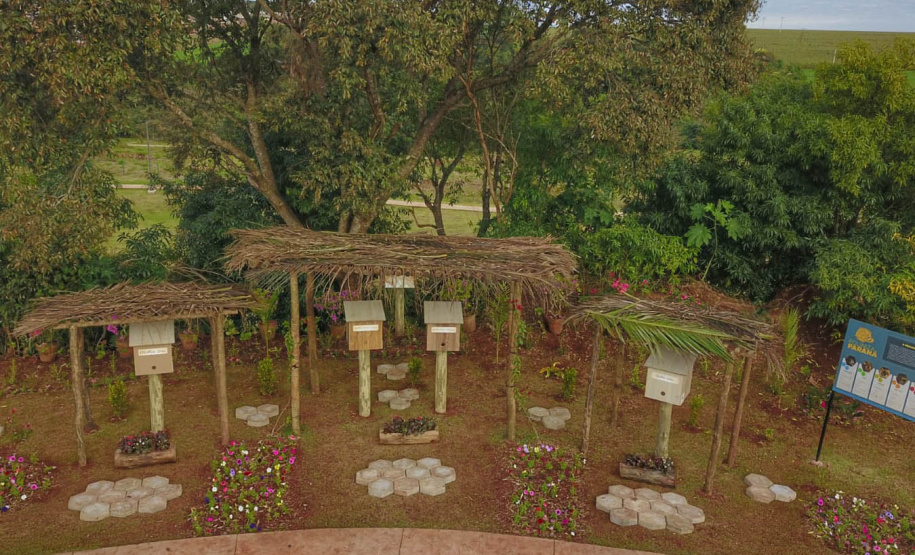 Governo instala colmeias do Poliniza Paraná e inaugura Parque Urbano na Semana do Meio Ambiente