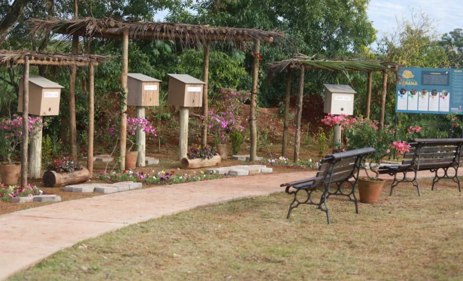 Governo instala colmeias do Poliniza Paraná e inaugura Parque Urbano na Semana do Meio Ambiente