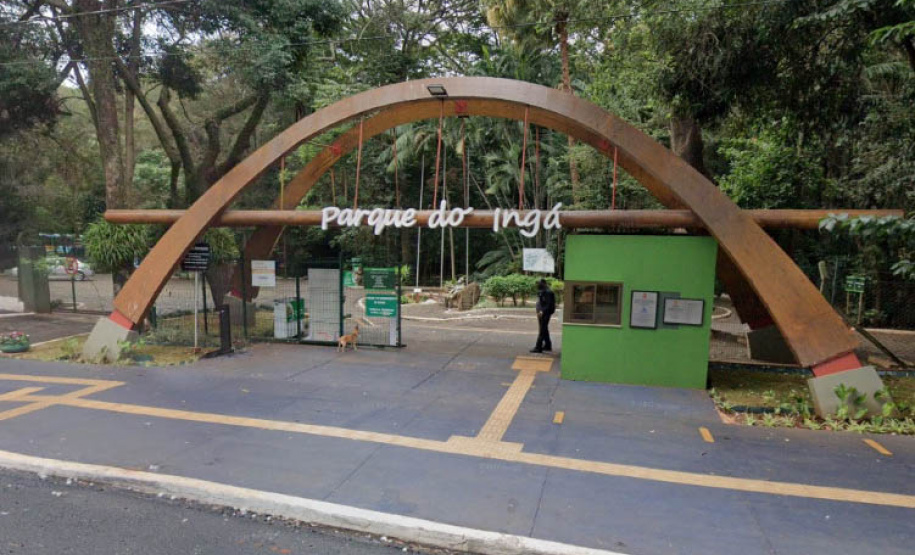 Governo instala colmeias do Poliniza Paraná e inaugura Parque Urbano na Semana do Meio Ambiente