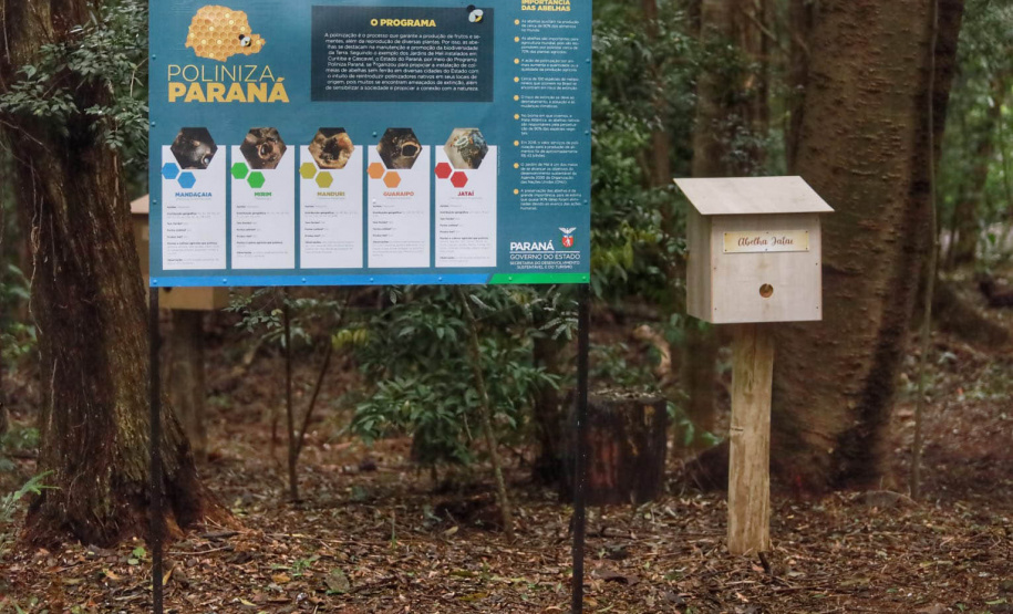 Governo instala colmeias do Poliniza Paraná e inaugura Parque Urbano na Semana do Meio Ambiente