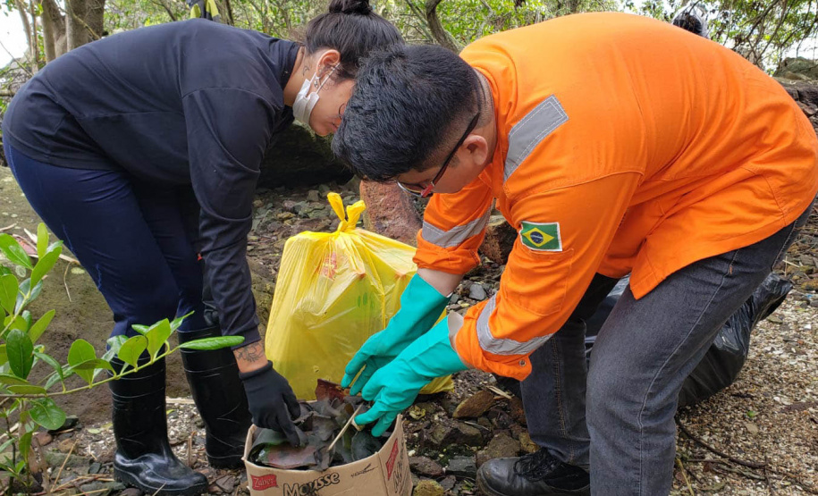 IAT realiza mutirão para coleta de resíduos sólidos em manguezais do Litoral do Estado