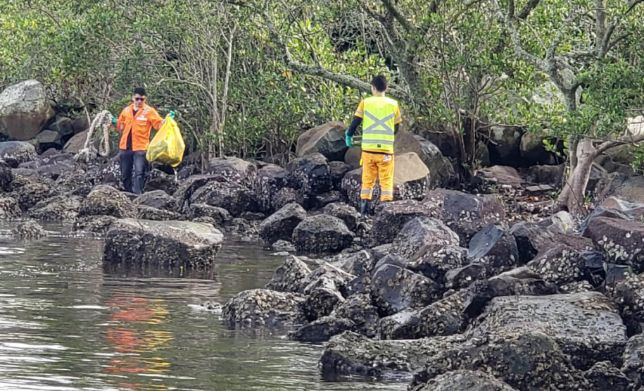 IAT realiza mutirão para coleta de resíduos sólidos em manguezais do Litoral do Estado