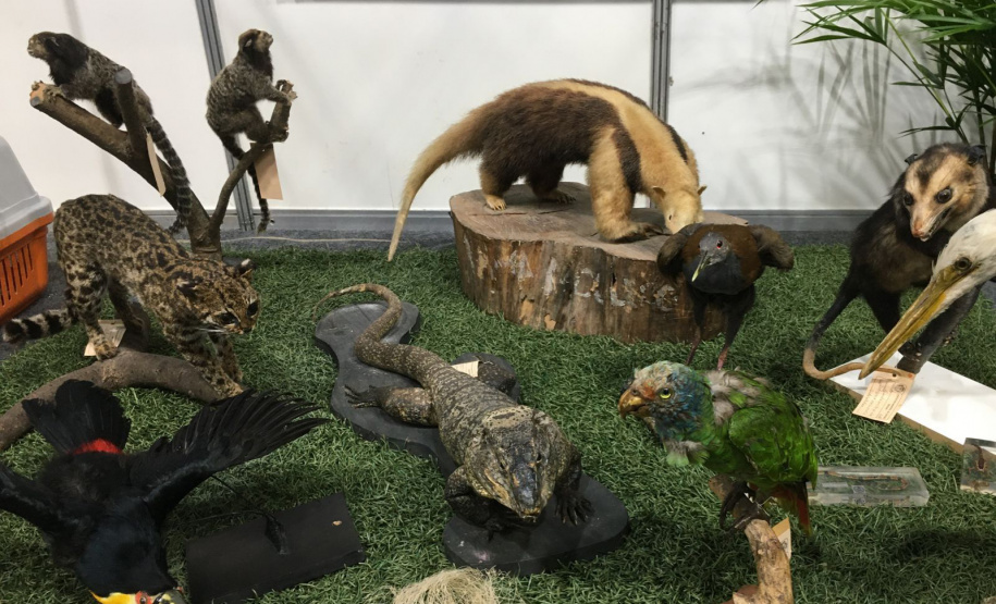 IAT tem atividades na XV Semana do Meio Ambiente de Paranaguá