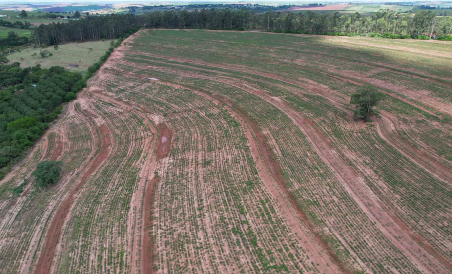 Adapar treina operadores de drones para defesa sanitária vegetal
