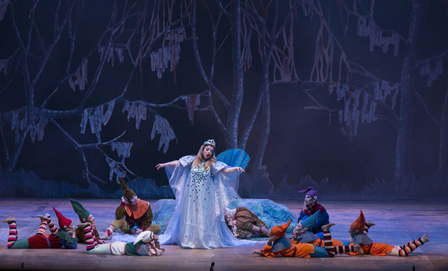 Teatro Guaíra abre edital de credenciamento para cantores