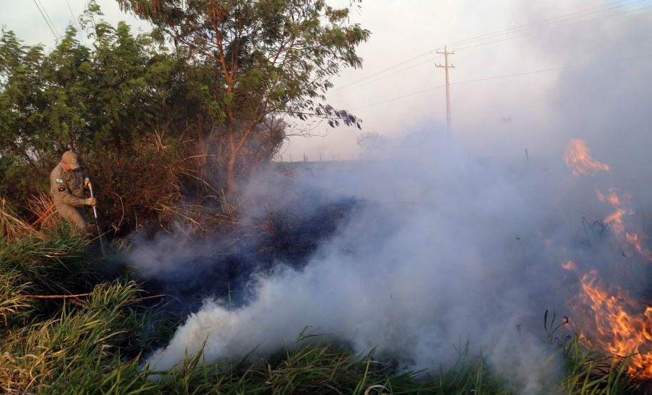 Estado alerta para necessidade de cuidados contra incêndios florestais