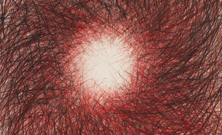 MON leva exposição da artista Vera Martins a Guarapuava