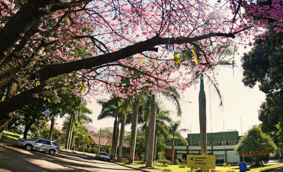 UEM divulga resultado da segunda chamada para vagas remanescentes