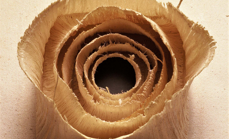 MON leva exposição da artista Vera Martins a Guarapuava