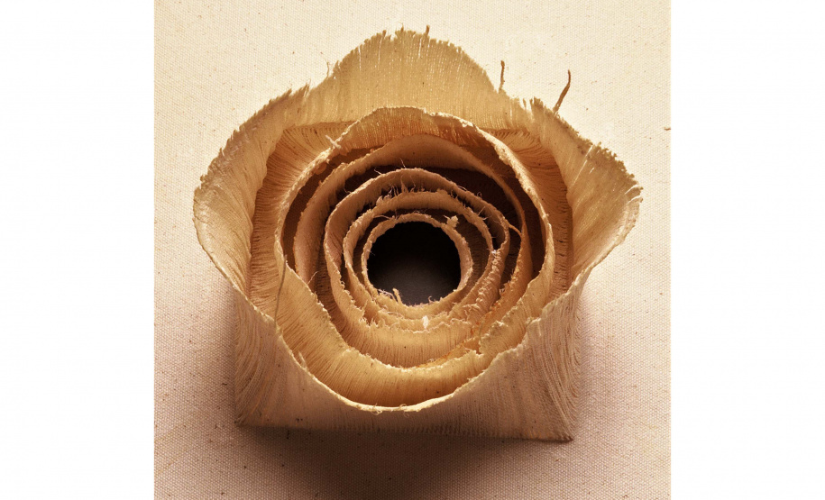 MON leva exposição da artista Vera Martins a Guarapuava