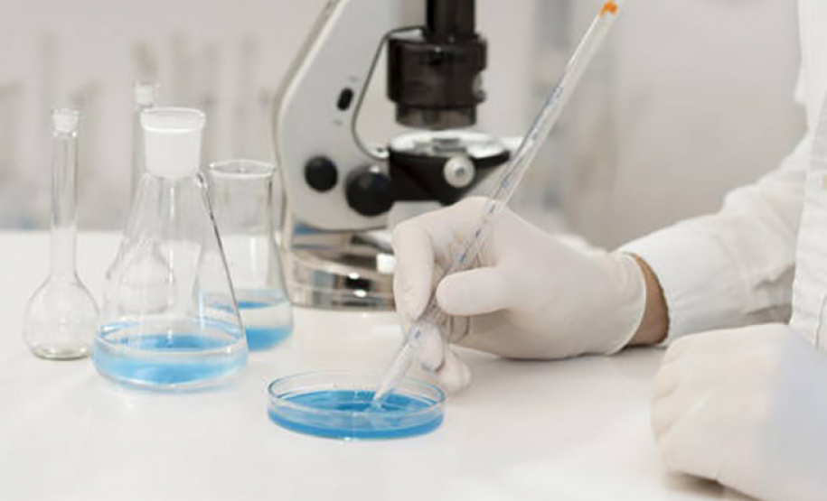 Inscrições para mestrado e doutorado em Biotecnologia Ambiental na UEM encerram dia 25