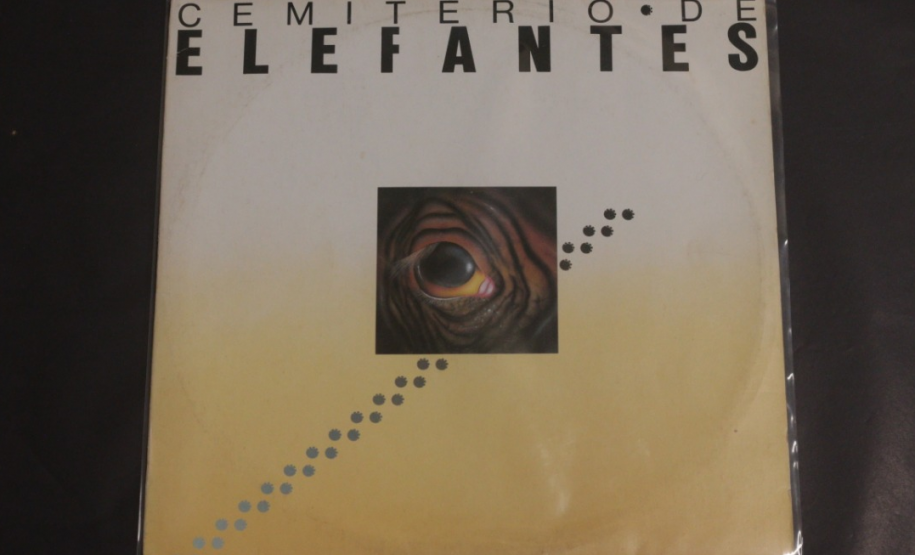 Exposição no MIS-PR celebra Dia Mundial do Rock e relembra gênero no Paraná