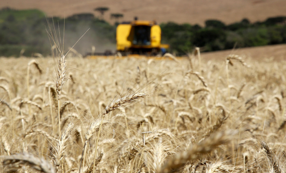 Produtor rural: saiba como gerar a nota fiscal eletrônica através do aplicativo Nota Fiscal Fácil