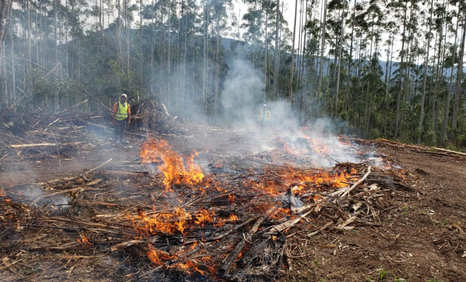 Estado alerta para necessidade de cuidados contra incêndios florestais