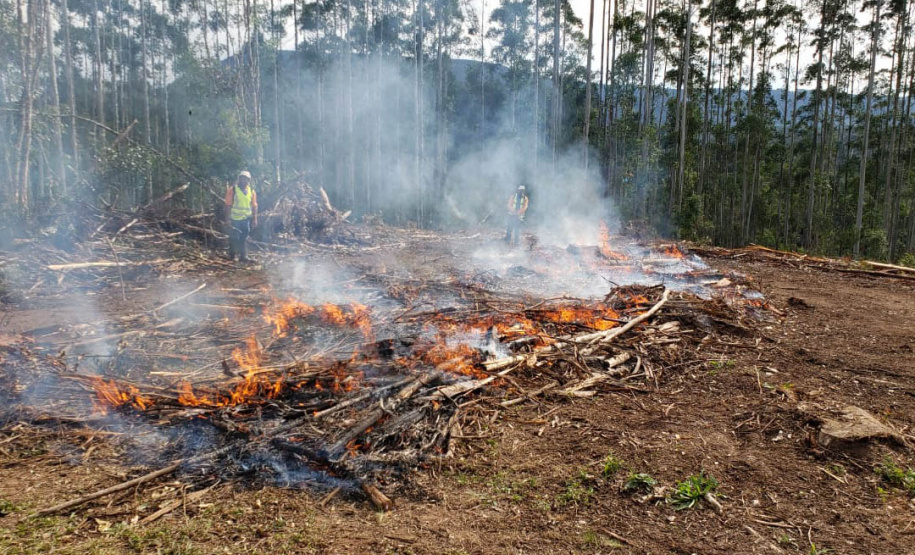 Estado alerta para necessidade de cuidados contra incêndios florestais