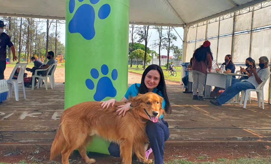 Mais de 1.400 animais devem ser atendidos nesta semana pelo CastraPet Paraná