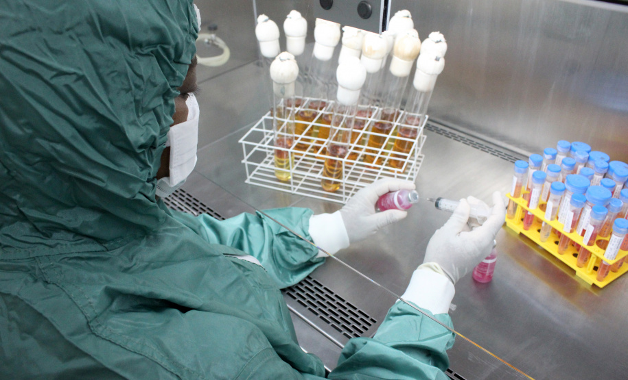 Tecpar vai coordenar evento sobre biotecnologia com foco em terapias e diagnósticos avançados