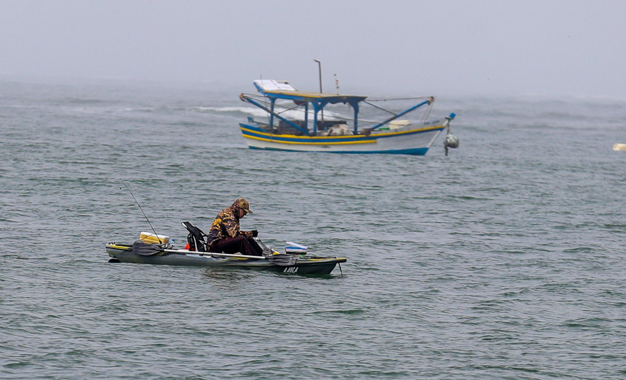 Estado quer obrigar identificação de espécies de “cação” comercializadas no Paraná