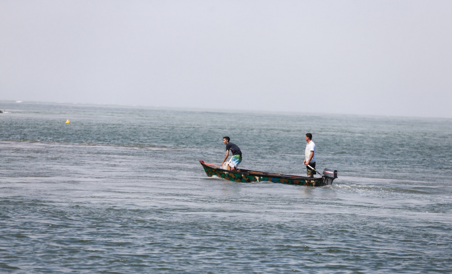 Estado quer obrigar identificação de espécies de “cação” comercializadas no Paraná
