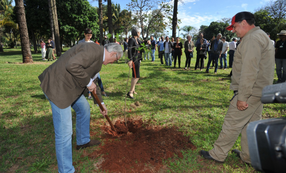 UEL comemora aniversário com plantio da 51ª peroba rosa