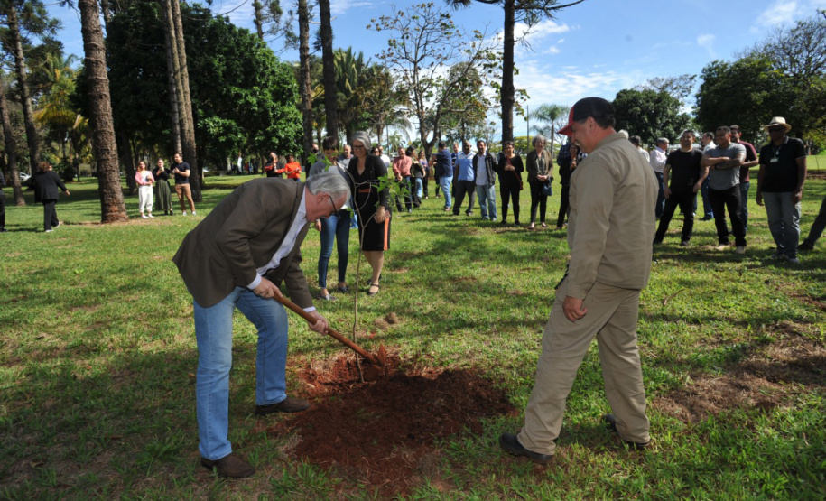 UEL comemora aniversário com plantio da 51ª peroba rosa