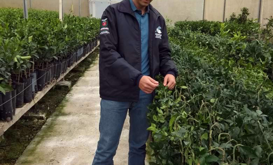 Vale do Ribeira busca reconhecimento como Área Livre de Praga – Cancro Cítrico