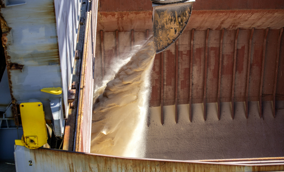 Porto espera exportar cerca de 6,6 milhões de toneladas de grãos e farelo de agora até o final do ano