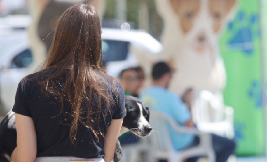 Até o próximo domingo mais sete cidades recebem o CastraPet Paraná